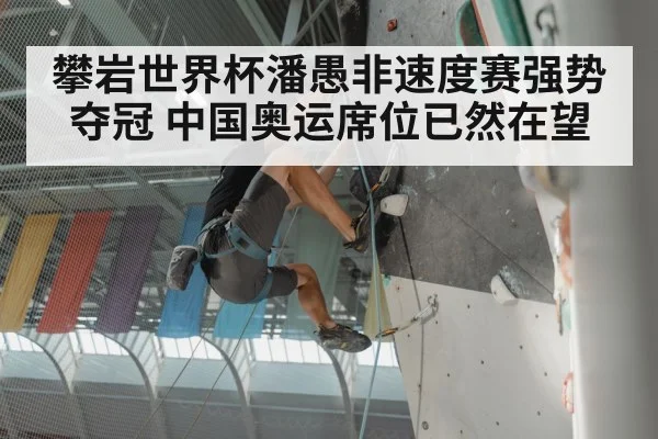 攀岩世界杯潘愚非速度赛强势夺冠 中国奥运席位已然在望